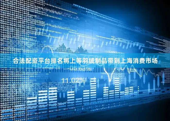 合法配资平台排名将上等羽绒制品带到上海消费市场
