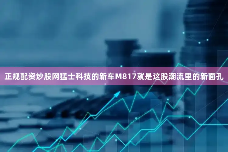 正规配资炒股网猛士科技的新车M817就是这股潮流里的新面孔